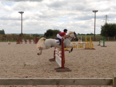 Freddie jumping his 2nd double clear,just two more to go!